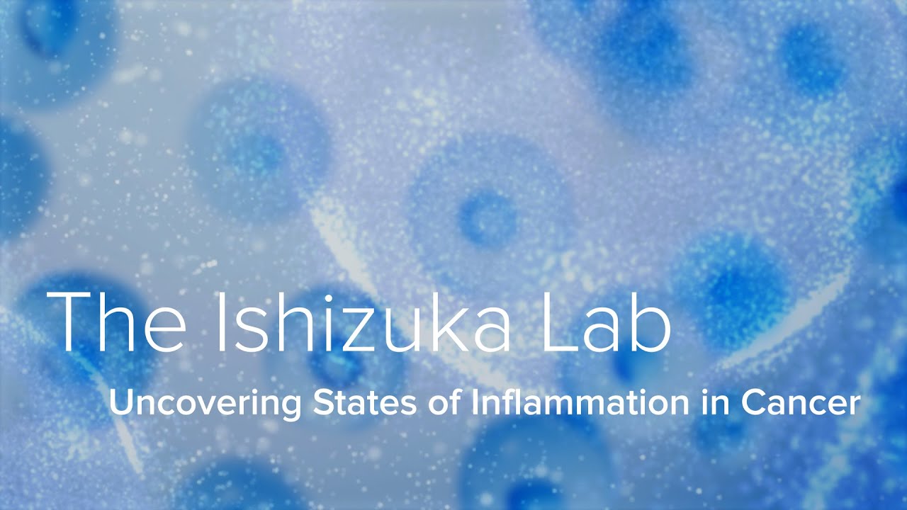 Inflammation, Tumor Microenvironments & Immunotherapy - The Ishizuka Lab at Yale School of Medicine