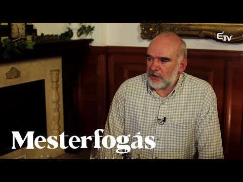 Vida Gábor: hülye vagyok, amikor írok... nem tudok részt venni abban, ami történik – Mesterfogás