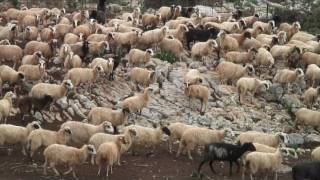 preview picture of video 'Crete mountains Strouboulas Τυλισσος Στρούμπουλας'