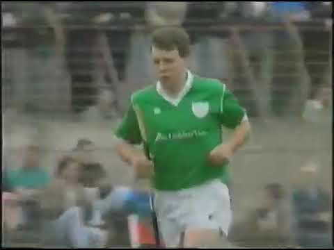 Limerick v Clare: 1991 Munster senior hurling QF (brief highlights)
