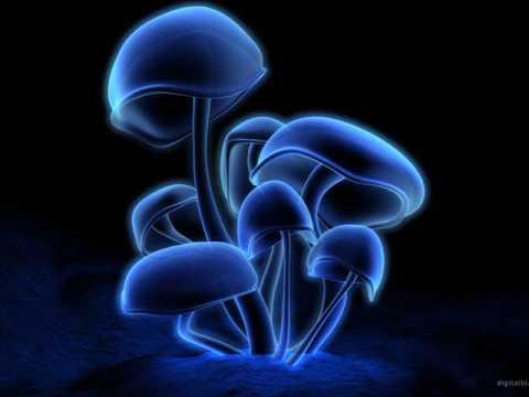 D.O.N.S. & DBN feat. Kadoc - Nighttrain (Pacha All Stars Team John Jacobsen vs Kung Fu Remix)