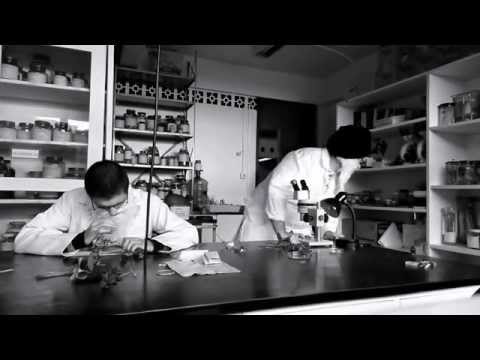 A Vida de Mikhail Khristoforovich Chailakhyan