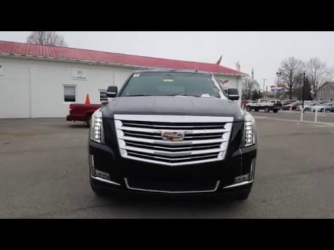 2016 Cadillac Escalade Platinum Walk Around