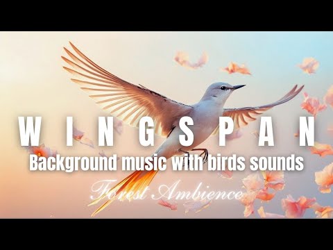 Wingspan Board Game Music - Forest Ambience: Birds Sounds with Relaxing Water Streaming