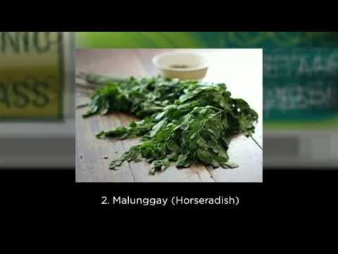 download lagu mp3 mp4 4green, download lagu 4green gratis, unduh video klip Download 4green Mp3 dan Mp4 Full Gratis