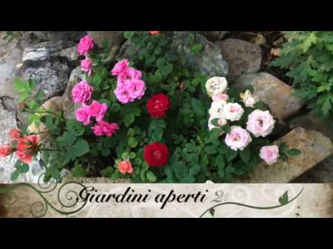 SAMASSI, Giardini aperti 2015