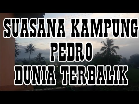 idul-fitri-bersama-keluarga-pedro-dunia-terbalik