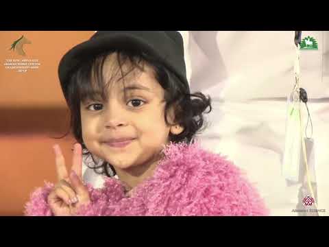 N 355 SPEECHLESS   KAAHC 2019   Stallions 7 9 Years Old Class 11B