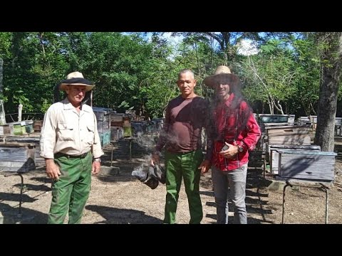 Centro de cria de abejas reinas El pedrero Fomento Sancti Spiritus 