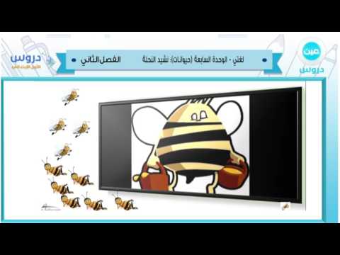 الاول الابتدائي| الفصل الدراسي الثاني 1438/ لغتي | الوحدة السابعة(حيوانات): نشيد النحلة