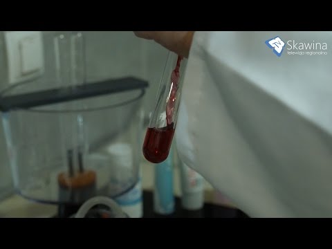 Czy w Skawinie żyją potomkowie Kazimierza Wielkiego?