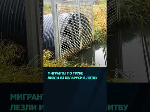 Мигранты пытались пролезть из Беларуси в Литву по подземной трубе