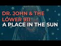 Dr. John & The Lower 911 - A Place In the Sun (Official Audio)