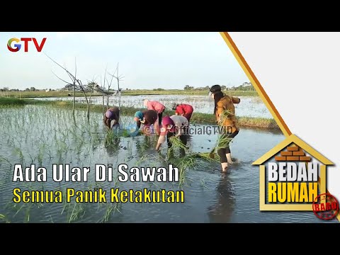 Ada Ular Di Sawah Semua Panik Ketakutan | Bedah Rumah | Eps 614 | (2/5)