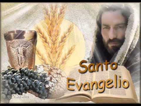 EVANGELIO 20 DE AGOSTO 2014 MONS  ENRIQUE DÍAZ