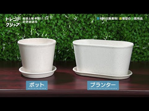 イヤークリップの魅力とは何でしょうか？彼らは危険ですか？  庭園