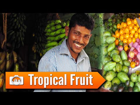 TROPICAL FRUIT