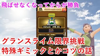 【星ドラ】グランスライム限界挑戦特殊ギミックとコツの話