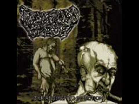 Digested Flesh - The Answer To Infection