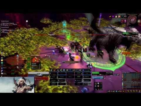 Orden Inmortal vs Nythendra Mythic - argudita Holy Priest PoV