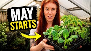 Is It Too Late to Start Seeds? (Do This NOW in May)