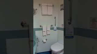 Carnival Dream Cabin 1201