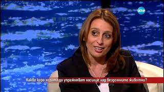 Какво кара хората да упражняват насилие над бездомните животни - участие в предаването Часът на Милен Цветков