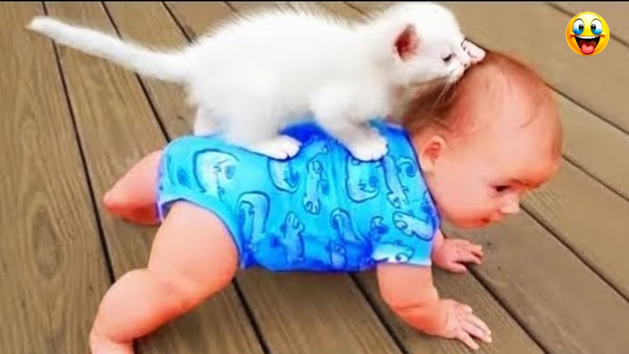 Try Not To Laugh Cats And Dogs Videos 😺🐶 Best Of The 2024 Funny Animal Videos 😁 part43