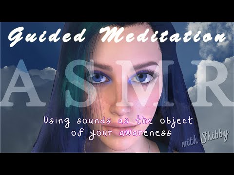 Using sounds as the object of your awareness - Guided Meditation with Shibby