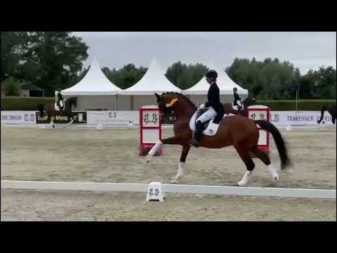 Sieg im Prix St. Georges für High Motion und Laura Strobel