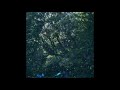 Benoît Pioulard - Seize