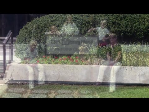 TDW 1618 - The Birth of Walt Disney World