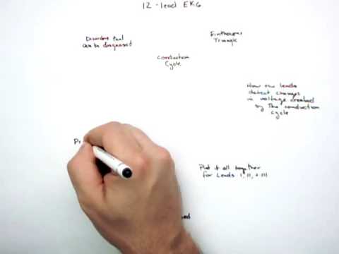 12-Lead EKG Introduction