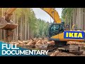 The Shady Side Of The IKEA Wood Business The Real Cost Of Cheap Wood FD Finance