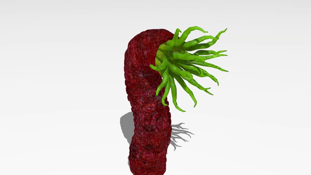 Tentacolo della bestia Modello 3D