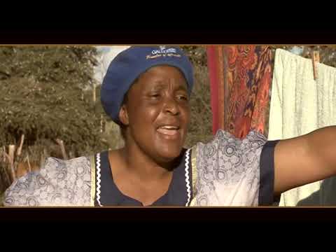 NGWAO YA TSHONA MAGOSI