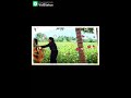 En Kooda Un Pol Oviya Pavai Tamil Song