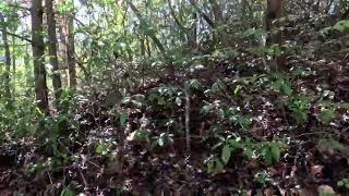 AT walk Oct 2025