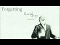 David Gray - Forgetting