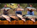 Amazing Fish Curry Recipe Traditional Fish Recipe By Grandpa Kitchen