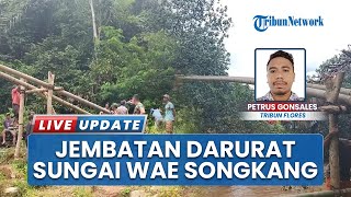 Warga Manggarai Barat Bangun Jembatan Darurat Imbas Sungai Wae Songkang Meluap gegara Hujan 4 Hari