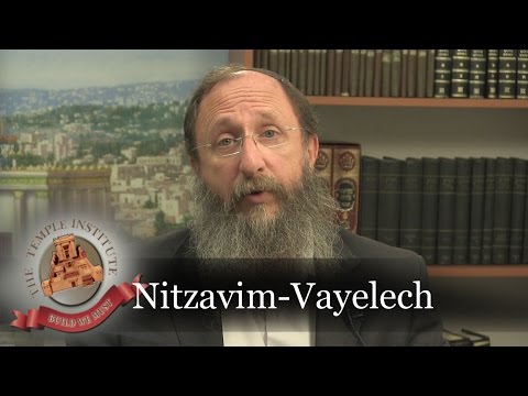 Weekly Torah Portion: Nitzavim-Vayelech/Rosh HaShana Greeting