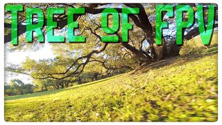 FPV | Tree Proximity Flying to the "Walk of Life (Music by Dire Straits) ???????????????????????????????????? ᵃᵘˢ