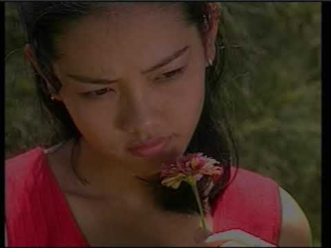 Thể hiện bởi Thái Châu