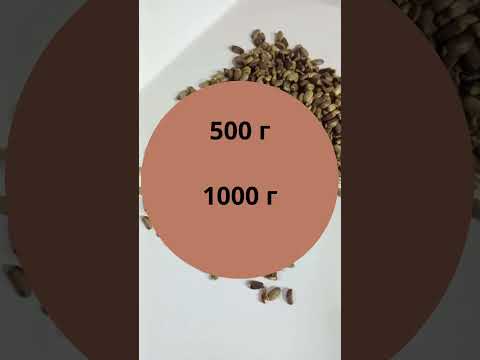 Расторопша плод (1 кг) - фото 1 - id-p2489254388
