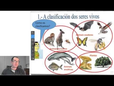 Vídeo: Biodiversidade e concepto de especie