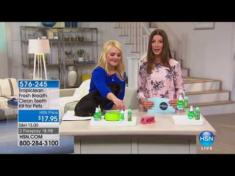 HSN | Pet Solutions featuring Bissell 02.04.2018 - 12 PM