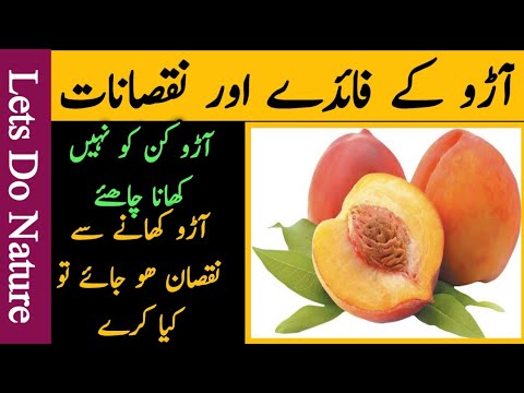 , title : 'Health Benefits And Harms Of Peach |آڑو کے فائدے / نقصان | Natural Health Benefits | Lets Do Nature'