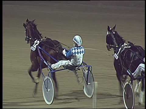 Trotto 30/10/2016 - 9ª corsa