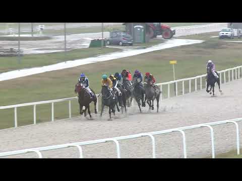 KÖTELES BERTALAN EMLÉKVERSENY - BEVEZETŐSZÍJ HENDIKEP (IV.o.) (szintetikus)